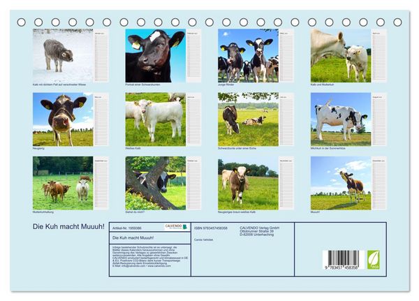 Produktbild: Die Kuh macht Muuuh! (Tischkalender 2026 DIN A5 quer), CALVENDO Monatskalender