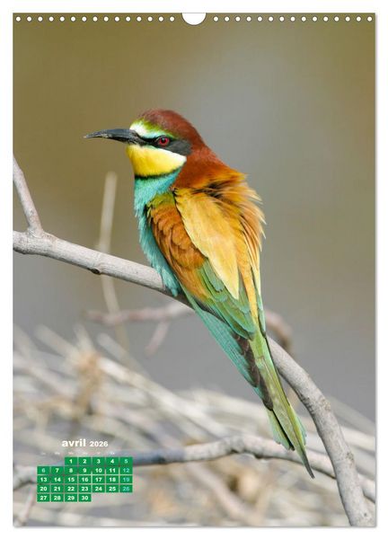 Produktbild: Lesbos l'&icirc;le aux oiseaux (Calendrier mural 2026 DIN A3 horizontal), CALVENDO calendrier mensuel