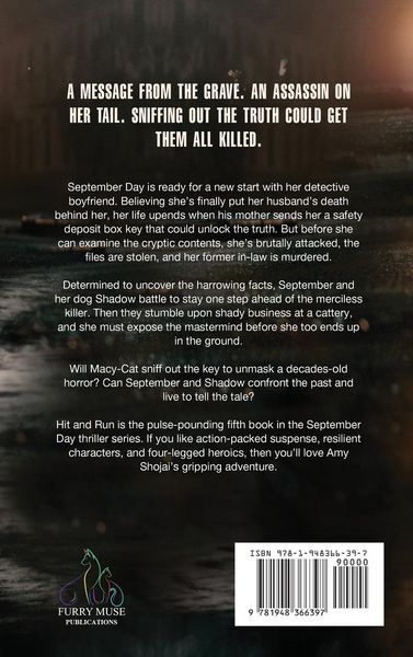 Produktbild: Hit And Run