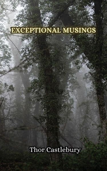 Produktbild: Exceptional Musings
