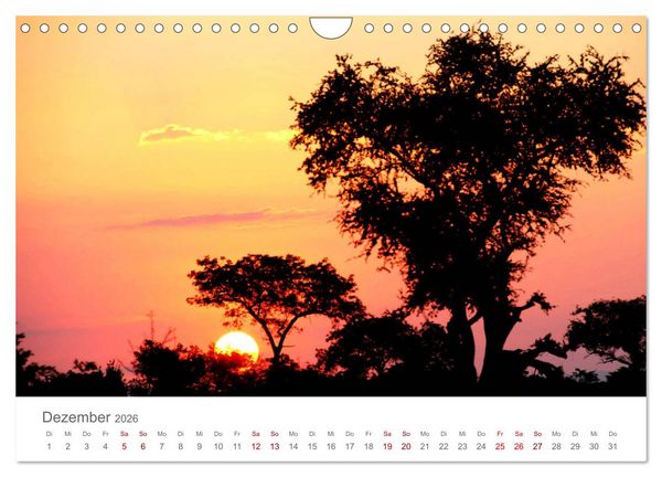 Produktbild: Safari / Afrika (Wandkalender 2026 DIN A4 quer), CALVENDO Monatskalender