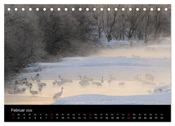 Produktbild: V&ouml;gel & Landschaften (Tischkalender 2026 DIN A5 quer), CALVENDO Monatskalender