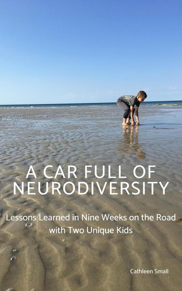 Produktbild: A Car Full of Neurodiversity: Lessons Learned in Nine Weeks on the Road with Two Unique Kids