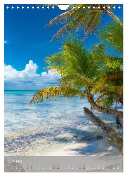Produktbild: Karibischer Traum Isla Saona (Wandkalender 2026 DIN A4 hoch), CALVENDO Monatskalender