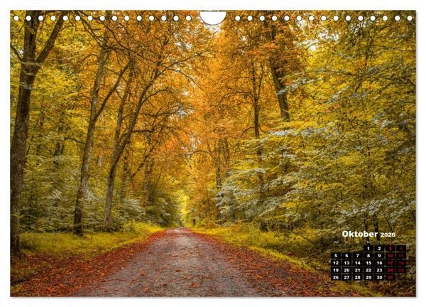 Produktbild: Rund um den Sch&ouml;nbuch (Wandkalender 2026 DIN A4 quer), CALVENDO Monatskalender