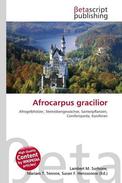Produktbild: Afrocarpus gracilior