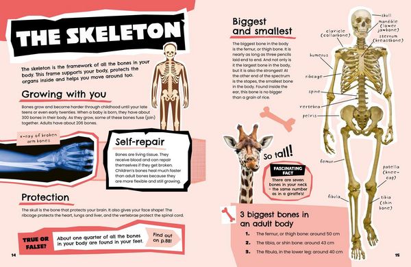 Produktbild: The Human Body