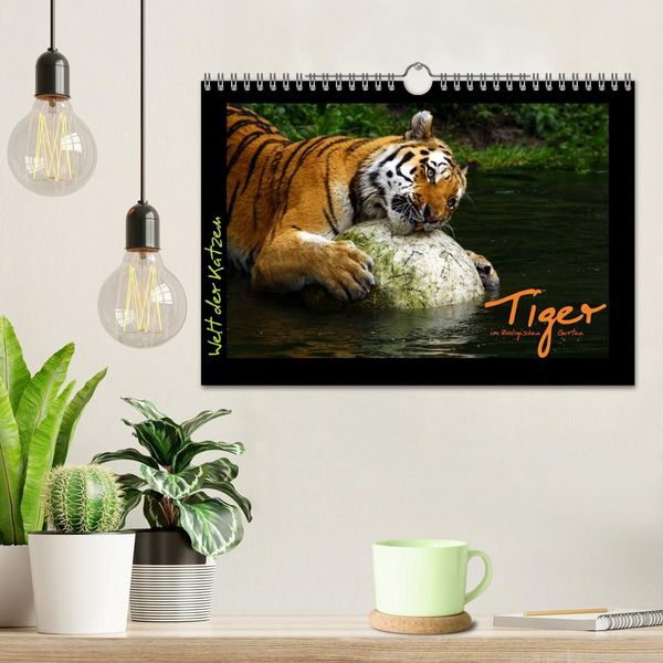 Produktbild: Welt der Katzen - Tiger (Wandkalender 2027 DIN A4 quer), CALVENDO Monatskalender