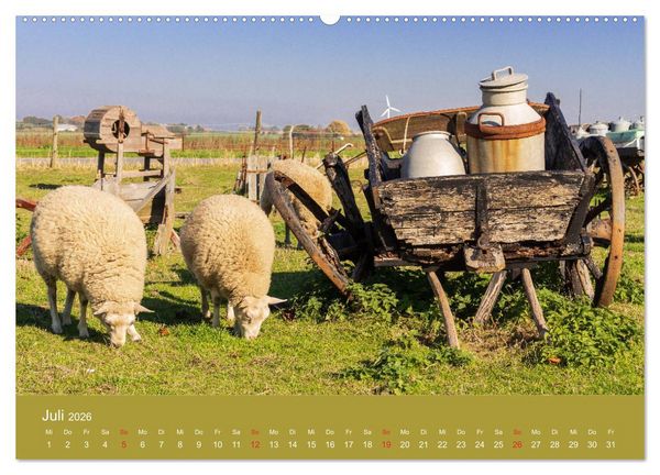 Produktbild: M&ouml;n, Impressionen einer d&auml;nischen Insel (hochwertiger Premium Wandkalender 2026 DIN A2 quer), Kunstdruck in Hochglanz
