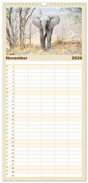 Produktbild: Familienplaner 2026 - Babyelefanten mit 5 Spalten (Wandkalender, 21 x 45 cm) CALVENDO