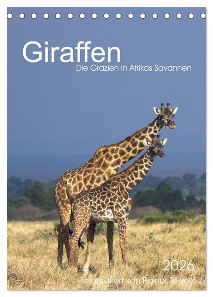Produktbild: Giraffen - Die Grazien in Afrikas Savannen (Tischkalender 2026 DIN A5 hoch), CALVENDO Monatskalender