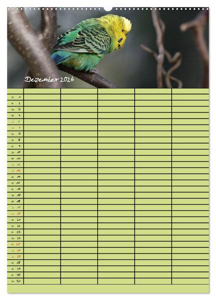 Produktbild: Der Wellensittich-Familienplaner (hochwertiger Premium Wandkalender 2026 DIN A2 hoch), Kunstdruck in Hochglanz