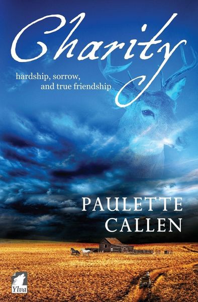 Produktbild: Charity