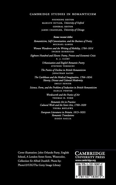 Produktbild: Romanticism and Theatrical Experience