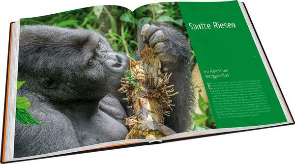 Produktbild: Perle Afrikas