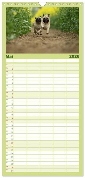 Produktbild: Familienplaner 2026 - Der MOPS-Kalender mit 5 Spalten (Wandkalender, 21 x 45 cm) CALVENDO