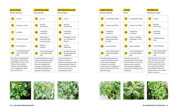 Produktbild: Gartenmomente: Balkongarten