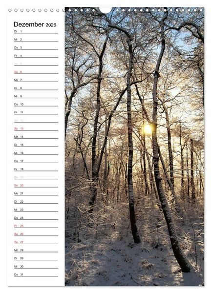 Produktbild: Land Brandenburg im Wechsel der Jahreszeiten (Wandkalender 2026 DIN A3 hoch), CALVENDO Monatskalender