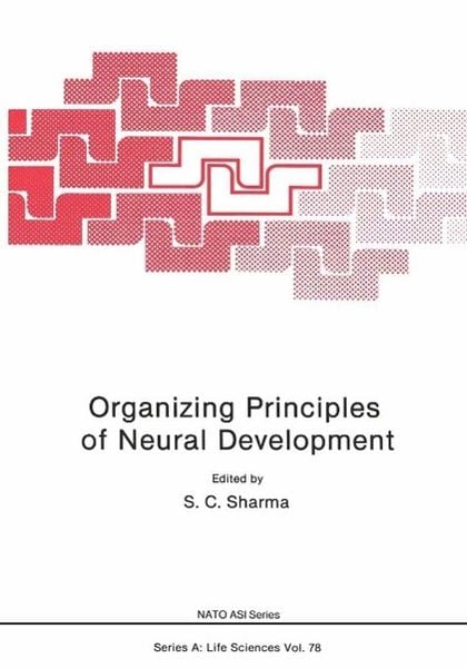 Produktbild: Organizing Principles of Neural Development