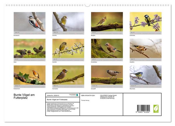 Produktbild: Bunte V&ouml;gel am Futterplatz (Wandkalender 2026 DIN A2 quer), CALVENDO Monatskalender