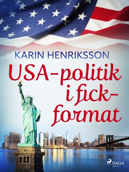 Produktbild: USA-politik i fickformat