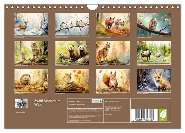 Produktbild: Zw&ouml;lf Monate im Wald (Wandkalender 2026 DIN A4 quer), CALVENDO Monatskalender