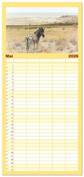 Produktbild: Familienplaner 2026 - Zebras in Afrika mit 5 Spalten (Wandkalender, 21 x 45 cm) CALVENDO