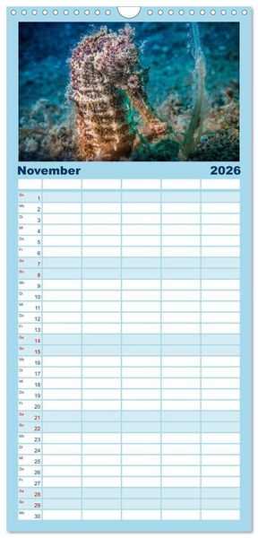 Produktbild: Familienplaner 2026 - Hippocampus oder einfach nur Seepferdchen mit 5 Spalten (Wandkalender, 21 x 45 cm) CALVENDO