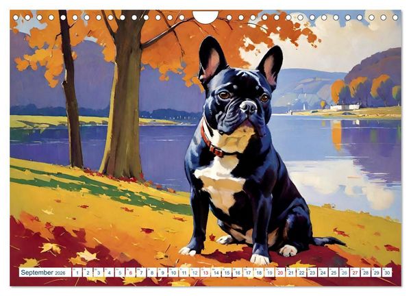 Produktbild: Frenchies (Wandkalender 2026 DIN A4 quer), CALVENDO Monatskalender