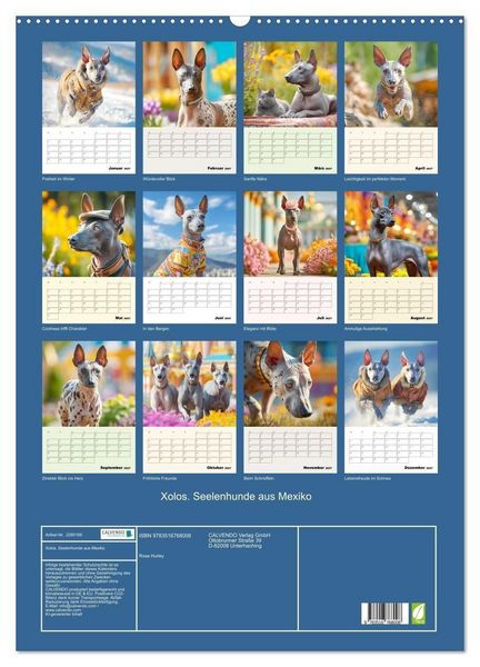 Produktbild: Xolos. Seelenhunde aus Mexiko (Wandkalender 2027 DIN A2 hoch), CALVENDO Monatskalender
