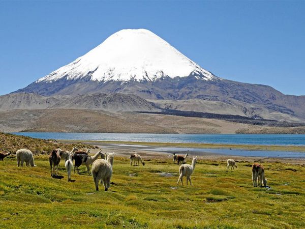 Produktbild: CALVENDO Puzzle Parinacota Vulkan, Lauca Nationalpark, Norte Grande | 1000 Teile Lege-Gr&ouml;&szlig;e 64x48cm Foto-Puzzle f&uuml;r gl&uuml;ckliche Stunden