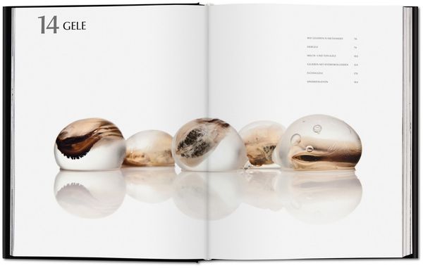 Modernist Cuisine. Die Revolution der Kochkunst