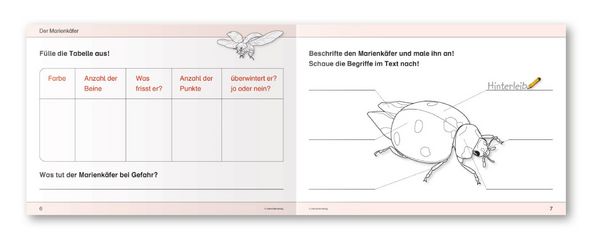 Produktbild: Ich kenne Waldtiere / Haus- und Hoftiere / Insekten und Spinnen - 3 Arbeitshefte im Set f&uuml;r die 2. bis 4. Klasse
