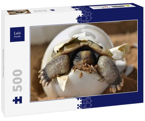 Lais Puzzle Wüstenschildkröte 500 Teile