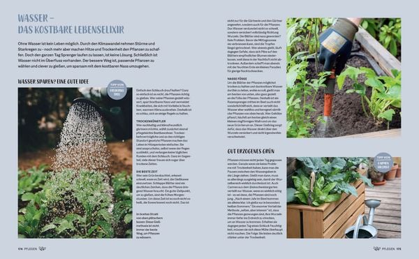 Produktbild: Morgen gr&uuml;ner