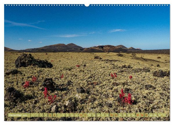 Produktbild: Magische Vulkaninseln im Atlantik (hochwertiger Premium Wandkalender 2026 DIN A2 quer), Kunstdruck in Hochglanz