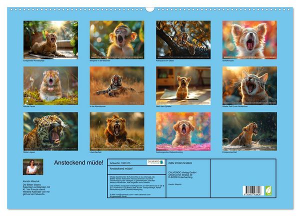 Produktbild: Ansteckend m&uuml;de! (Wandkalender 2026 DIN A2 quer), CALVENDO Monatskalender
