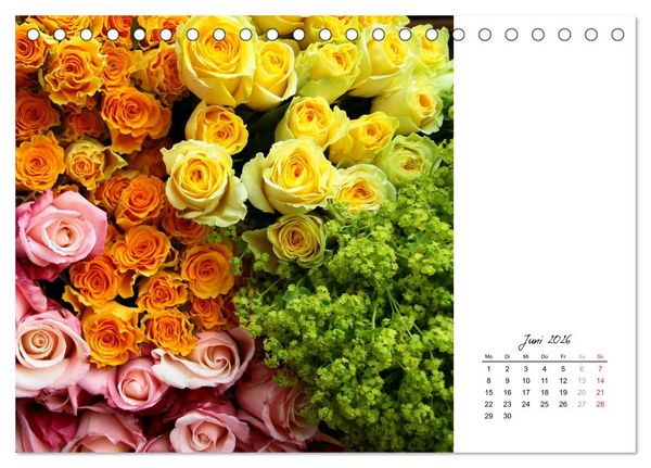 Produktbild: Die vielen Gesichter der Rosen (Tischkalender 2026 DIN A5 quer), CALVENDO Monatskalender