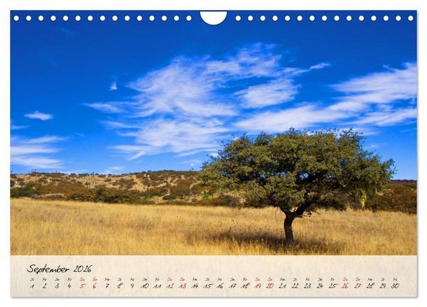 Produktbild: Mexiko - Bunte Vielfalt in Stadt und Land (Wandkalender 2026 DIN A4 quer), CALVENDO Monatskalender