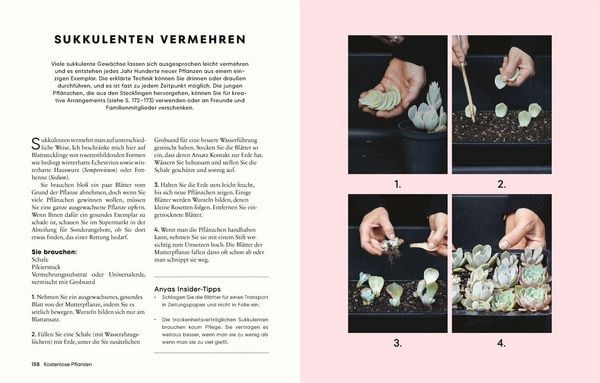 Produktbild: G&auml;rtnern f&uuml;r wenig Geld