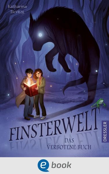 Produktbild: Finsterwelt 1. Das verbotene Buch