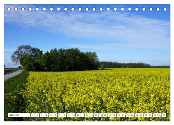 Produktbild: Traumland Estland - Erkundungen zwischen Saka und Narva (Tischkalender 2026 DIN A5 quer), CALVENDO Monatskalender