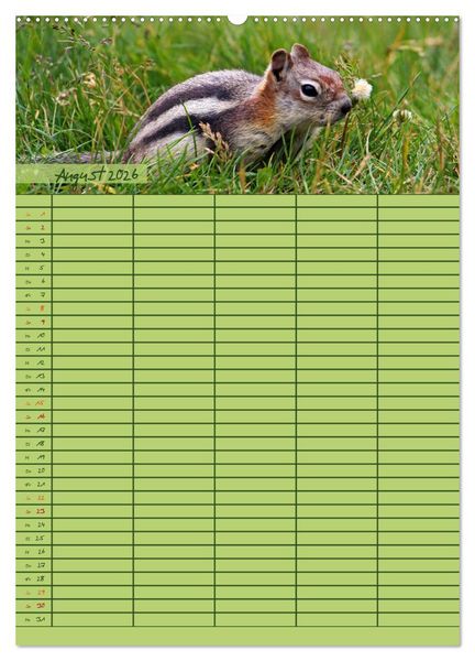 Produktbild: Tierischer Familienplaner (hochwertiger Premium Wandkalender 2026 DIN A2 hoch), Kunstdruck in Hochglanz