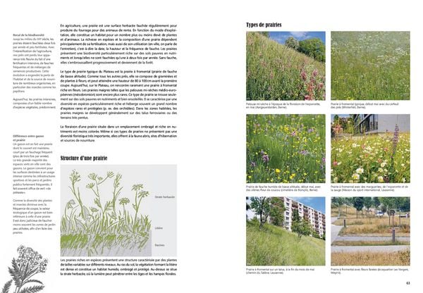 Produktbild: Guide pratique de la nature en ville