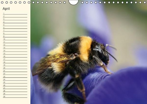 Produktbild: Geburtstagskalender "Nette Kleinigkeiten" (Wandkalender immerw&auml;hrend DIN A4 quer)