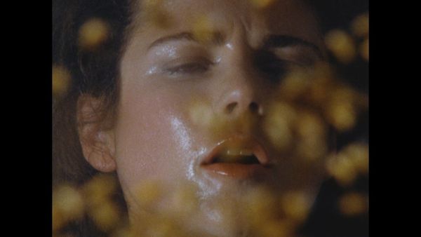 Produktbild: Killerbienen II - Die M&ouml;rderbienen greifen wieder an (Terror aus den Wolken / Terror Out of the Sky) (Filmjuwelen)