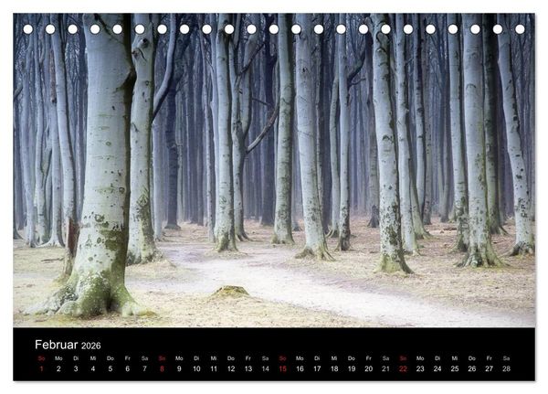 Produktbild: Baumportr&auml;ts 2026 (Tischkalender 2026 DIN A5 quer), CALVENDO Monatskalender