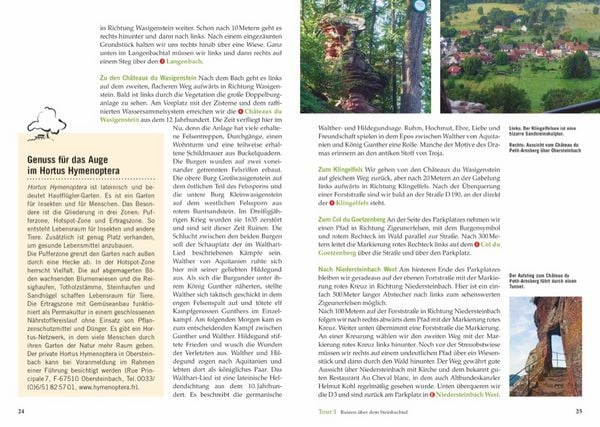 Produktbild: Wandergenuss Elsass und Vogesen