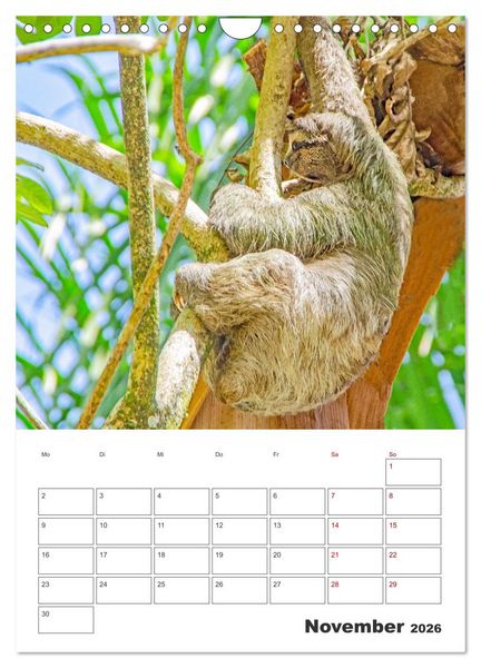 Produktbild: Reise durch Mittelamerika - Urlaubsplaner (Wandkalender 2026 DIN A4 hoch), CALVENDO Monatskalender