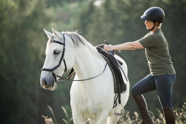 Einfach (An)Reiten